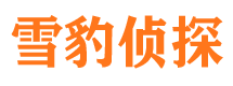 坡头市婚外情调查